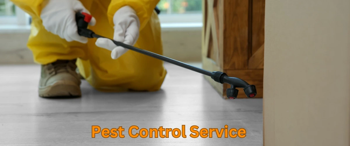 Pest Control Service