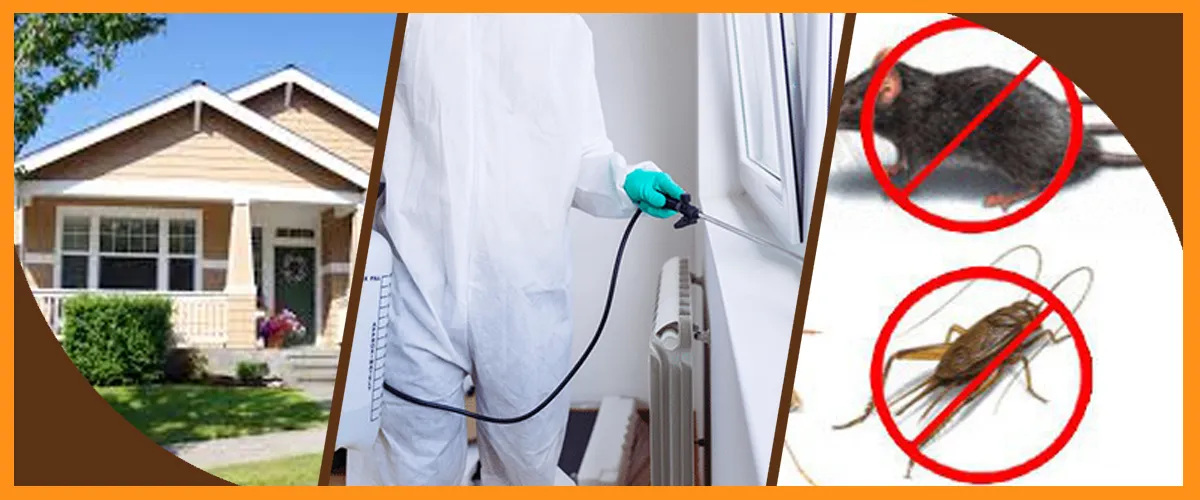 Residential Pest Control